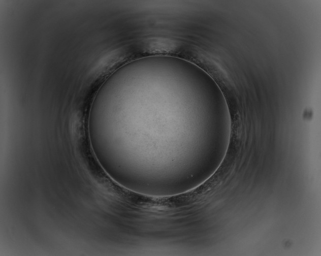 X0000102010743200807181228