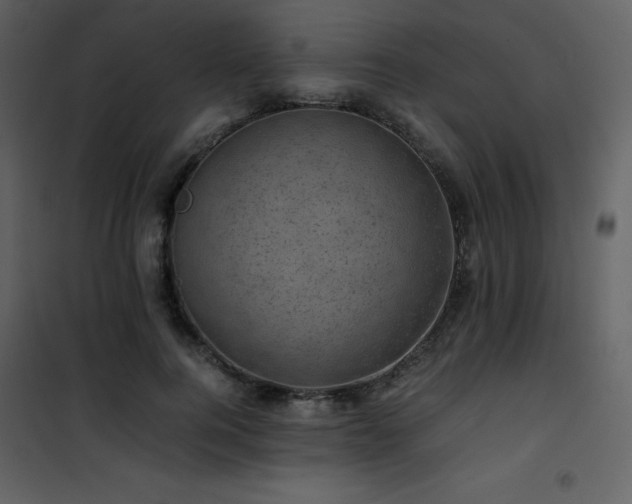 X0000102010744200807181228