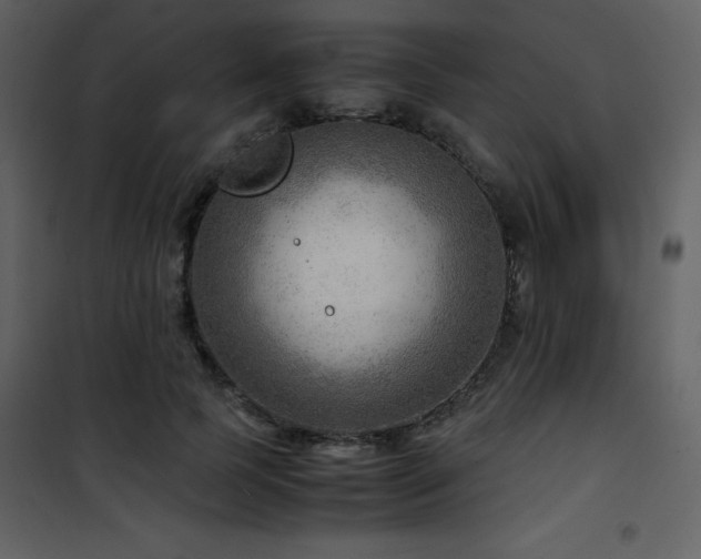 X0000102010745200807181228