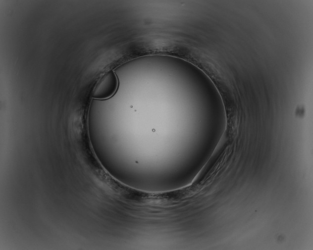 X0000102010746200807181228
