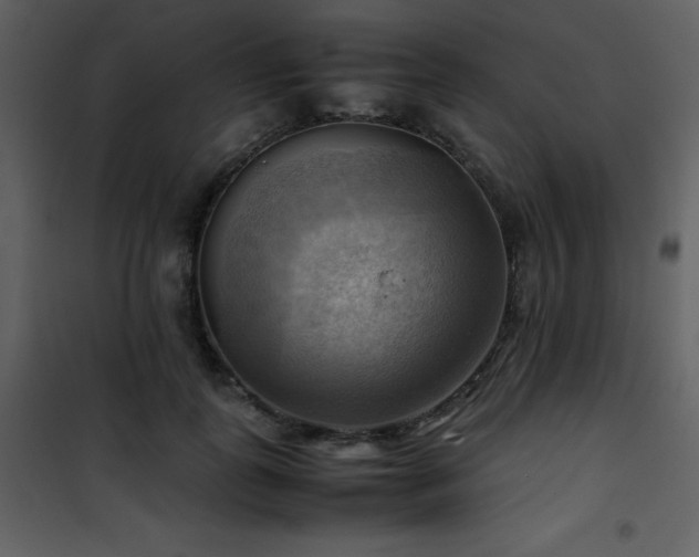 X0000102010747200807181228