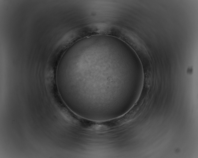 X0000102010748200807181228