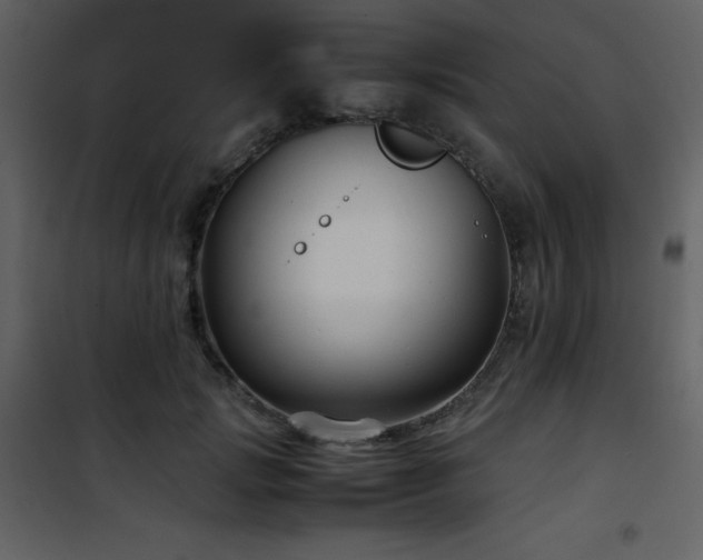 X0000102010749200807181228