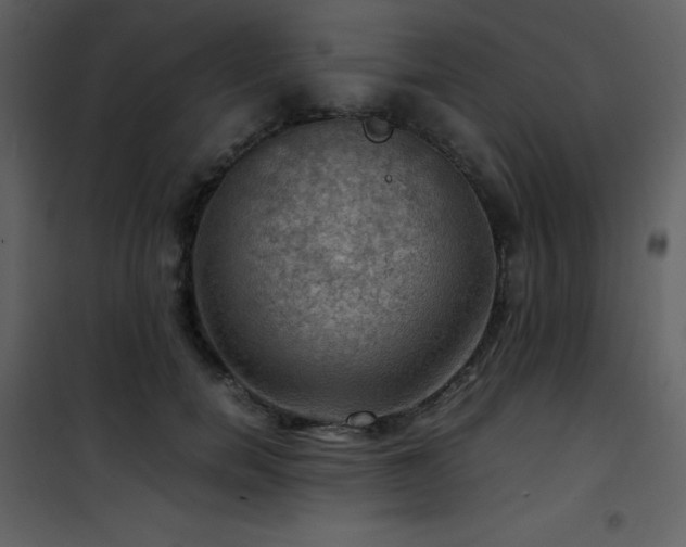 X0000102010750200807181228