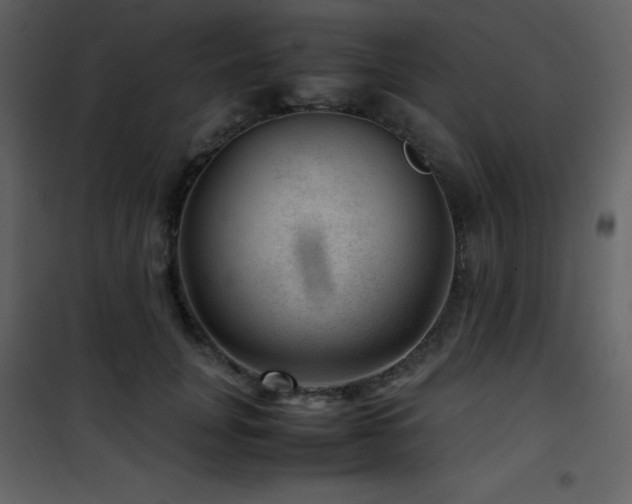 X0000102010751200807181228
