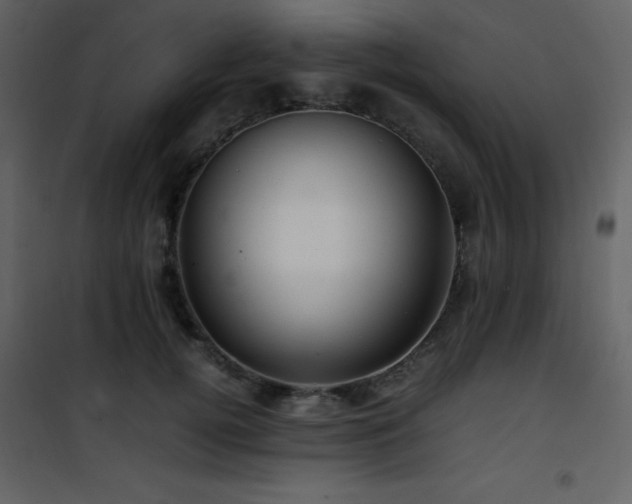 X0000102010752200807181228