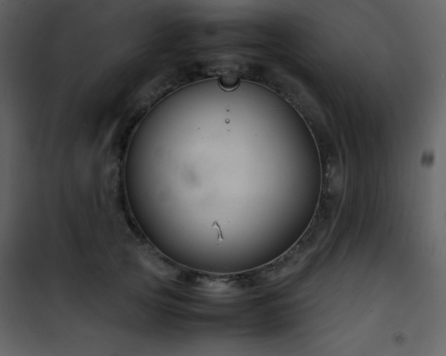 X0000102010753200807181228