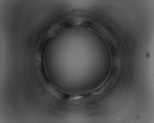 X0000102010754200807181228