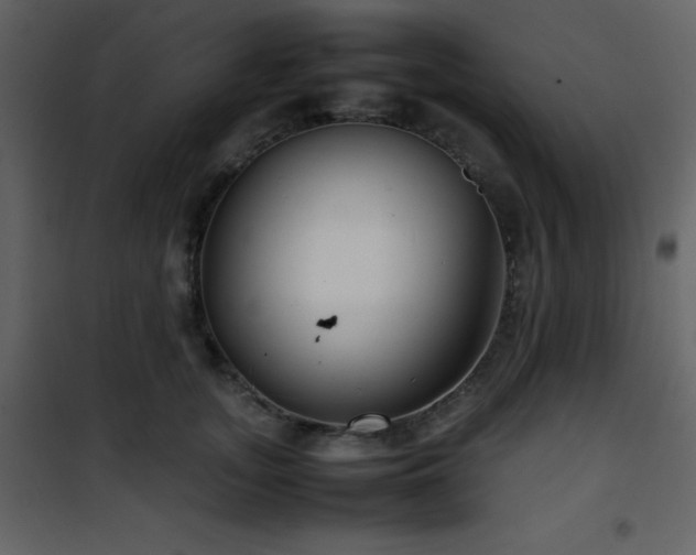 X0000102010755200807181228