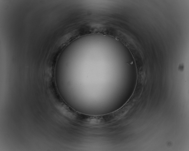 X0000102010756200807181228