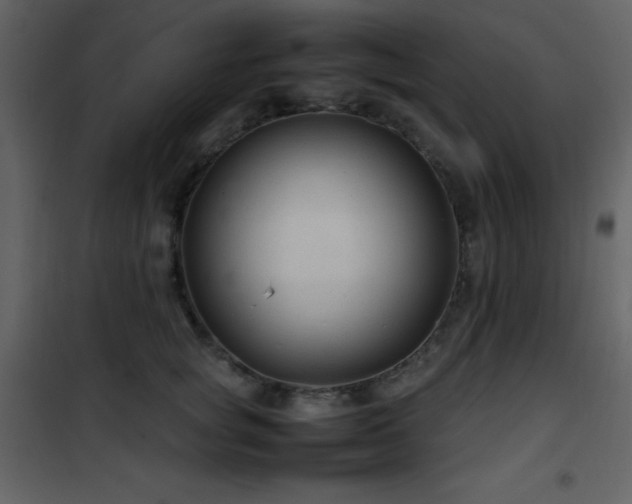 X0000102010757200807181228