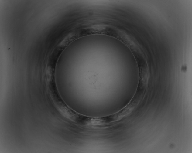 X0000102010758200807181228