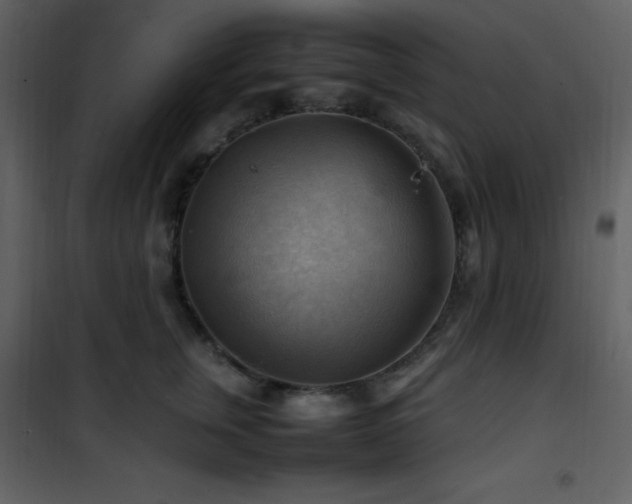 X0000102010759200807181228