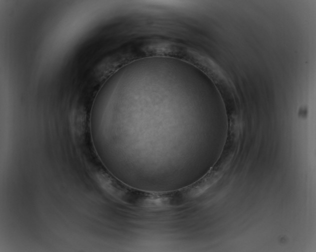 X0000102010760200807181228