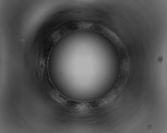 X0000102010761200807181228