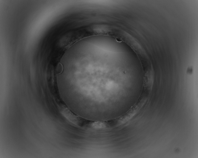 X0000102010762200807181228
