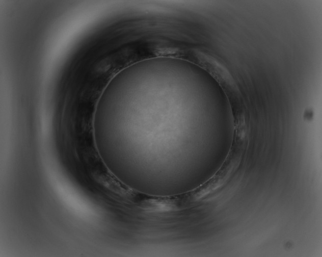 X0000102010763200807181228