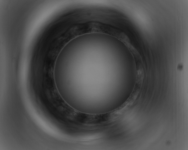 X0000102010765200807181228