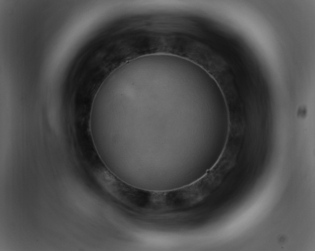 X0000102010766200807181228
