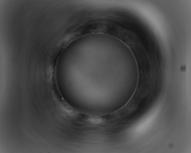 X0000102010767200807181228