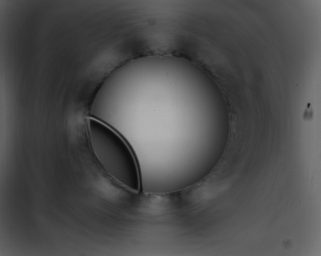 X0000102010768200807181228