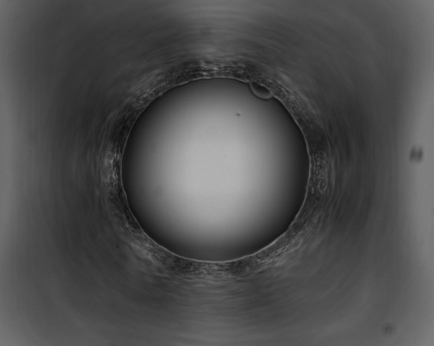 X0000102010770200807181227