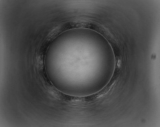 X0000102010771200807181227
