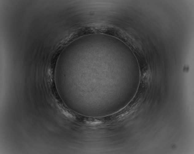 X0000102010772200807181227