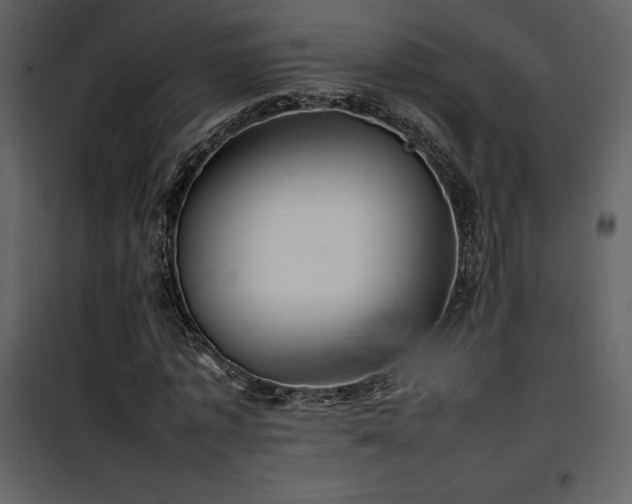 X0000102010773200807181227