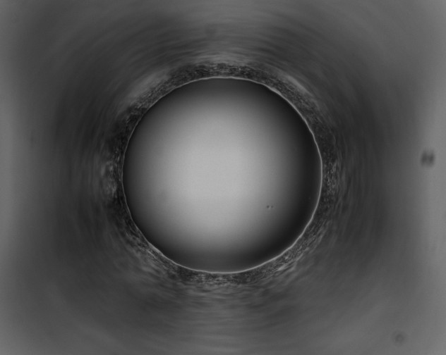 X0000102010774200807181227