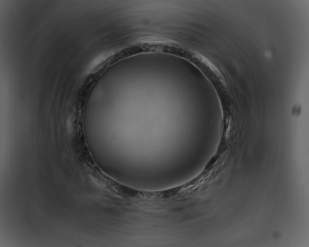 X0000102010775200807181227