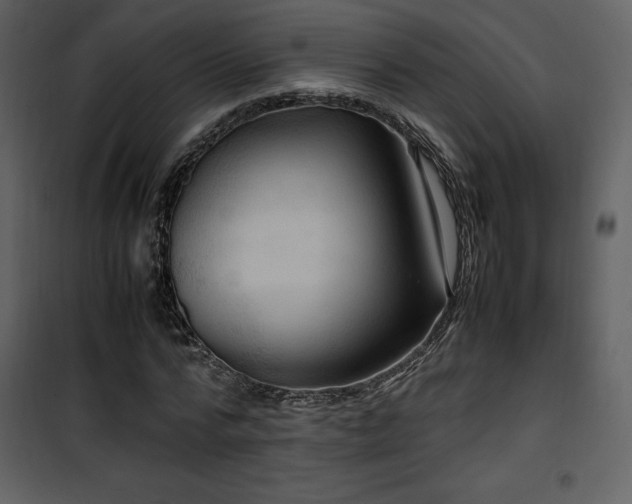 X0000102010776200807181227