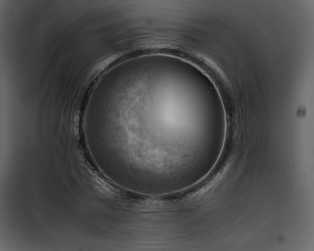X0000102010777200807181227