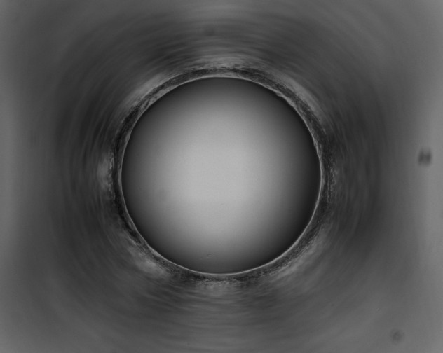 X0000102010778200807181227