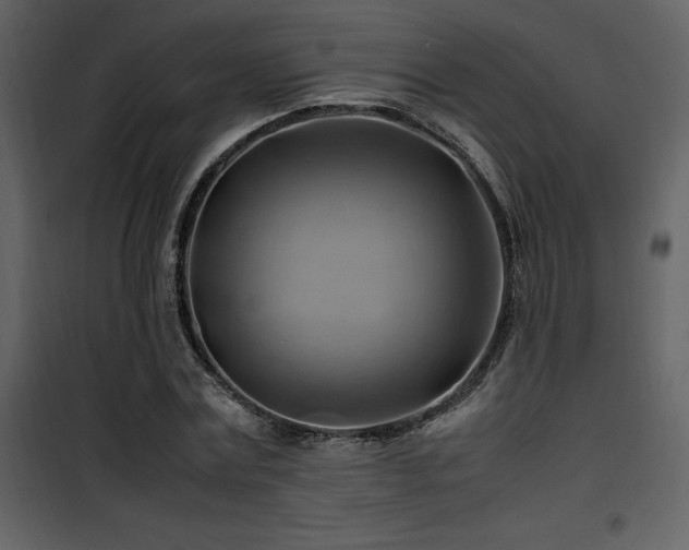 X0000102010779200807181227
