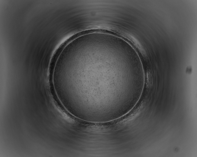 X0000102010780200807181227