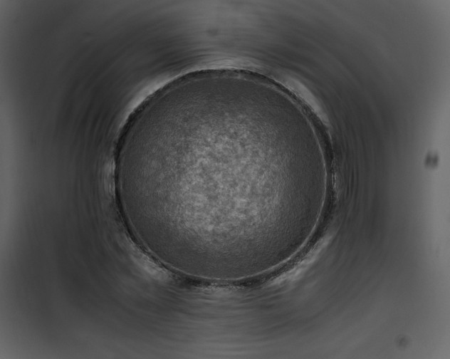 X0000102010781200807181227