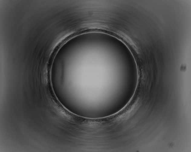X0000102010782200807181227