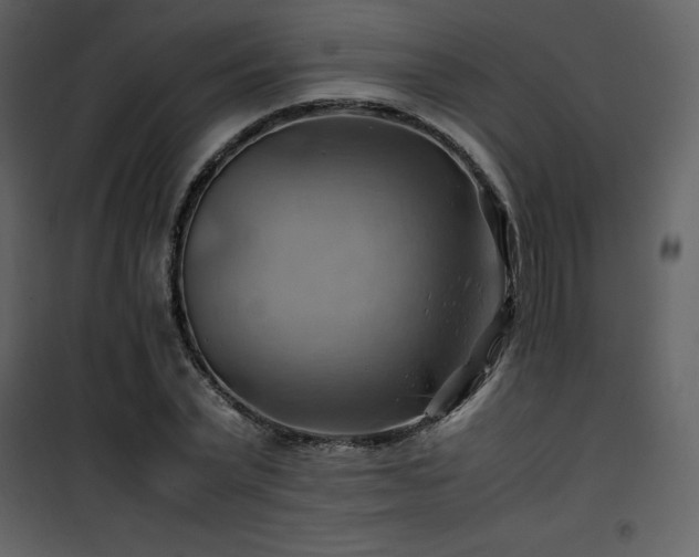 X0000102010783200807181227