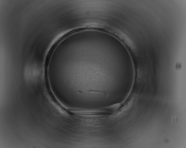 X0000102010784200807181227