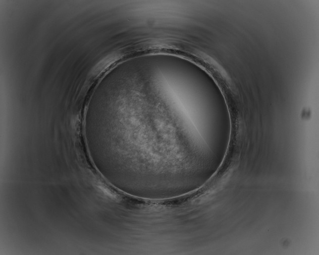 X0000102010785200807181227