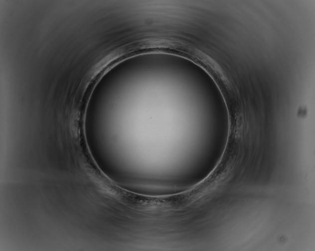 X0000102010786200807181227