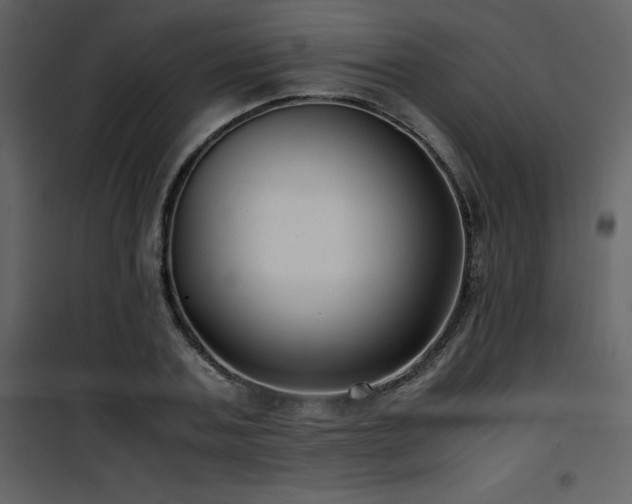 X0000102010787200807181227
