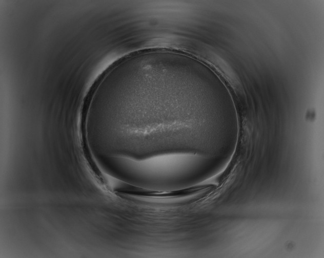 X0000102010788200807181227
