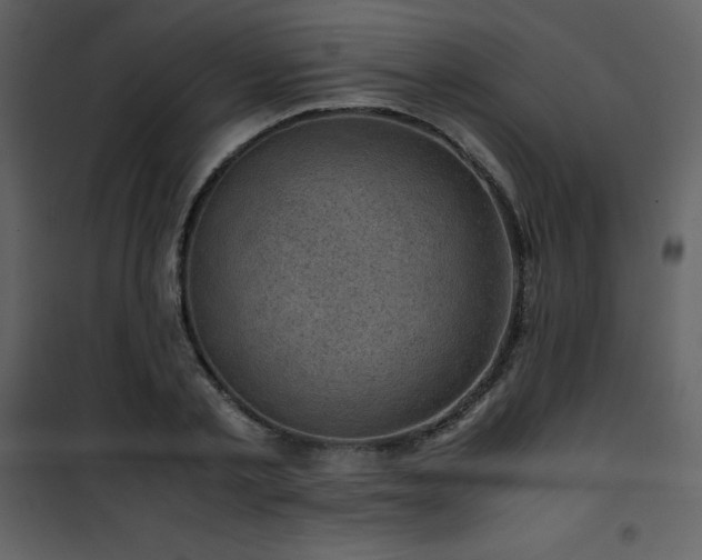 X0000102010789200807181227