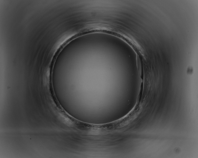 X0000102010790200807181227