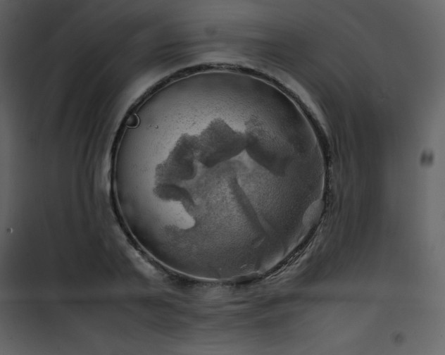 X0000102010791200807181227