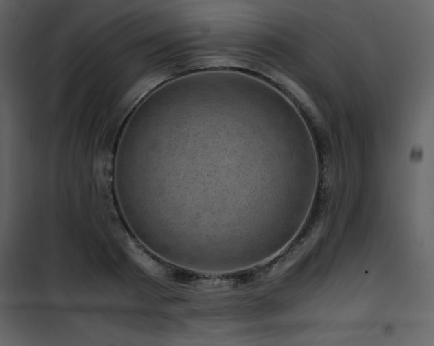 X0000102010793200807181227