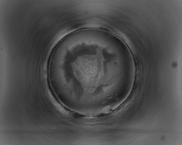 X0000102010795200807181227
