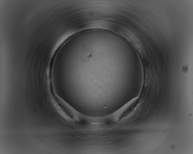 X0000102010796200807181227